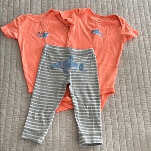 Carter's Orange and Gray Cozy Matching Set